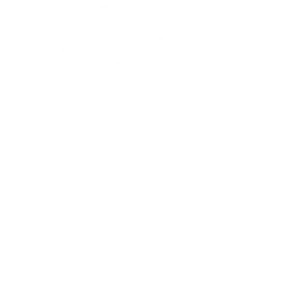 OpenAI Logo White